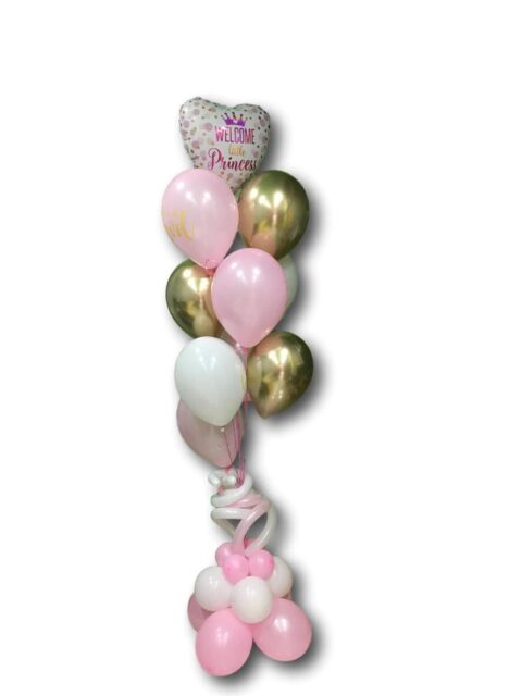 welcome_little_princess_balloonstories